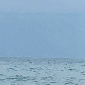 Meet your Posher, Calvin